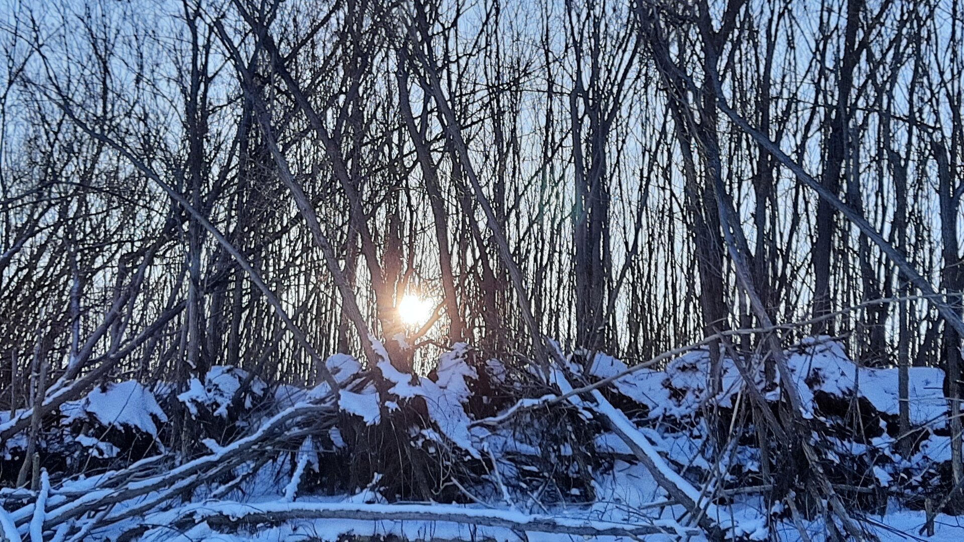 20221208_153137.jpg