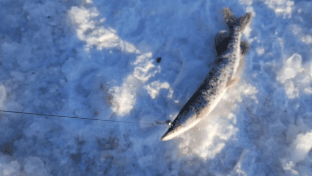 20221210_211047.gif