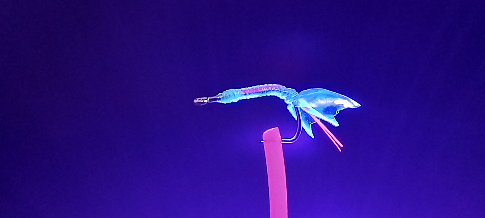 20221216_113441.jpg
