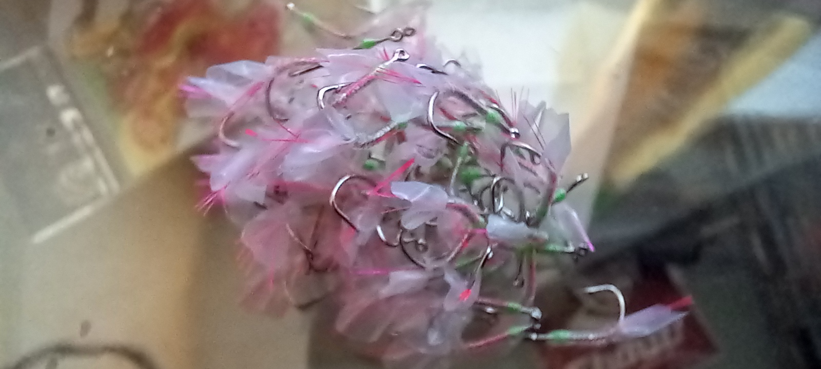 20221218_114023.jpg