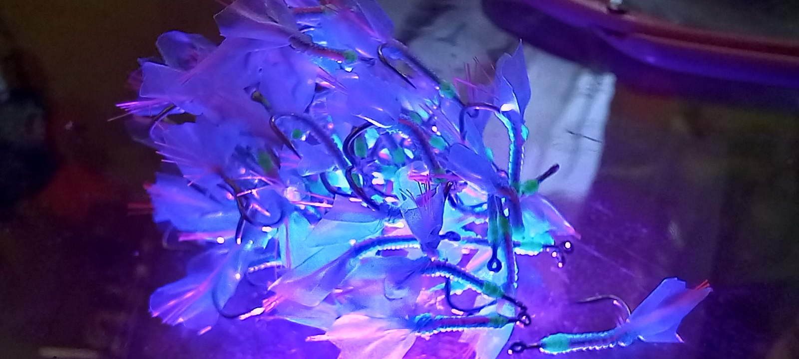 20221218_114149.jpg