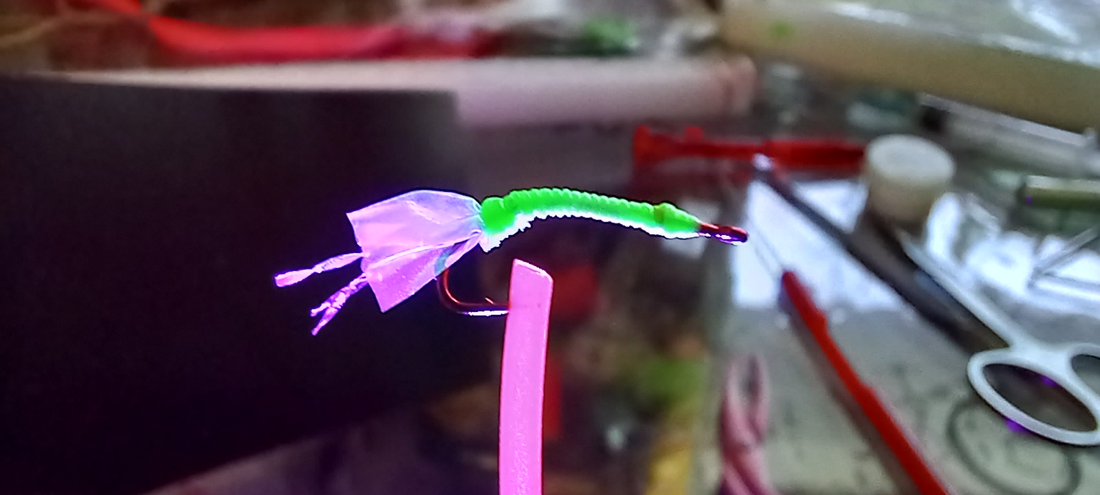 20221220_101421.jpg