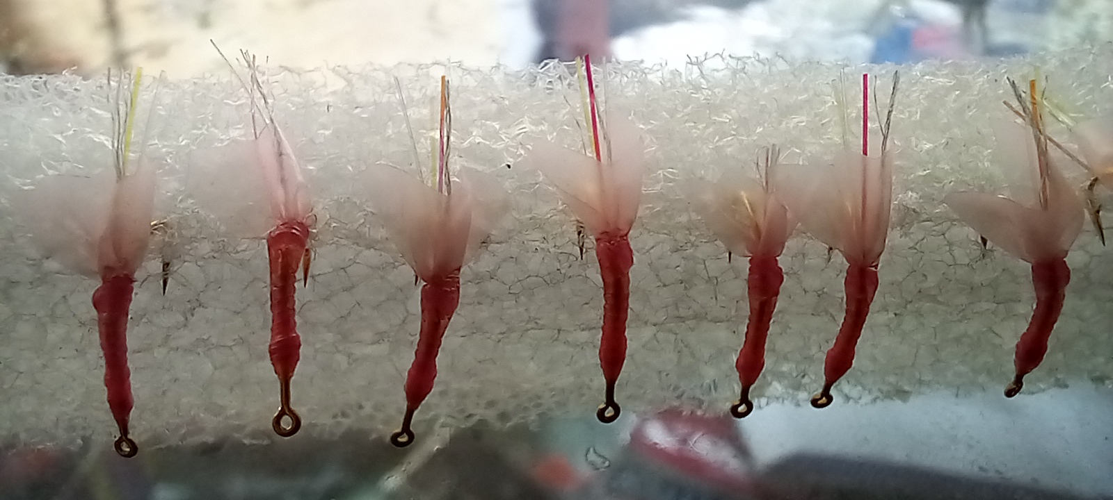 20221228_184637.jpg