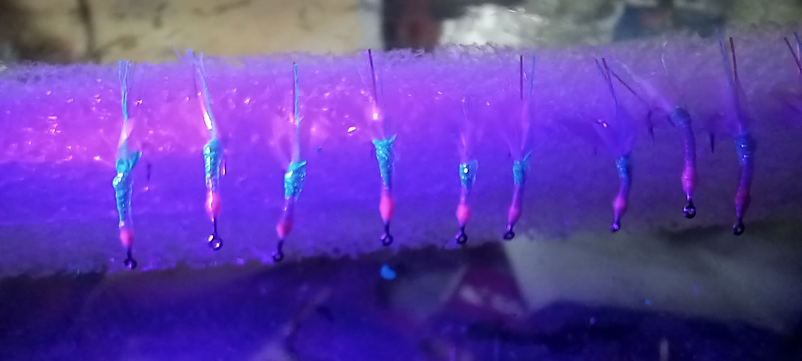 20221228_184720.jpg