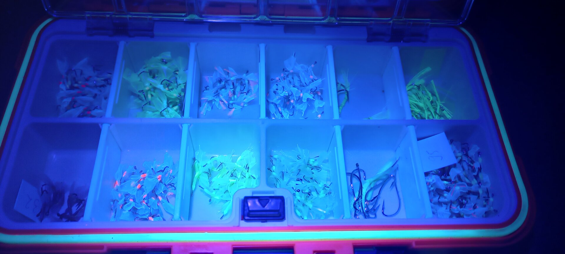 20221228_201305.jpg