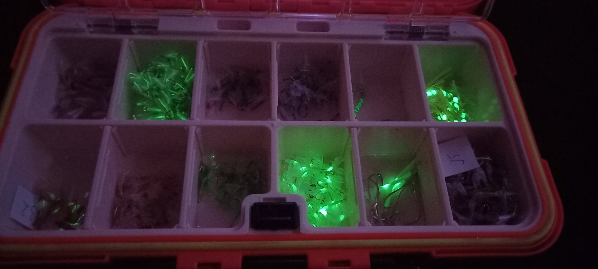 20221228_201308.jpg