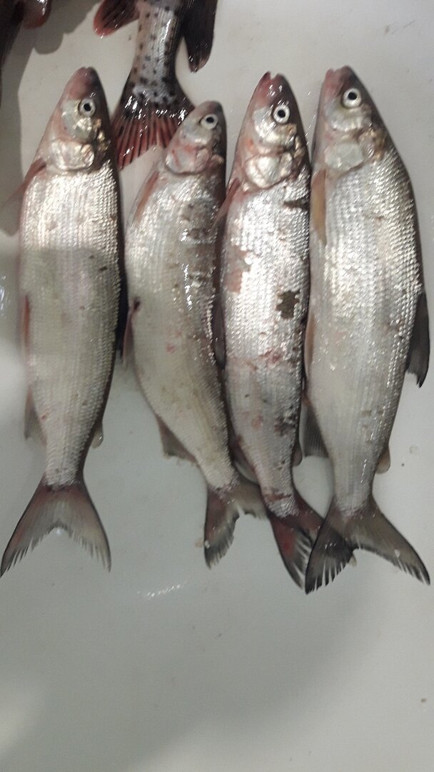 2023-10-24 19-58-45_115240.jpg