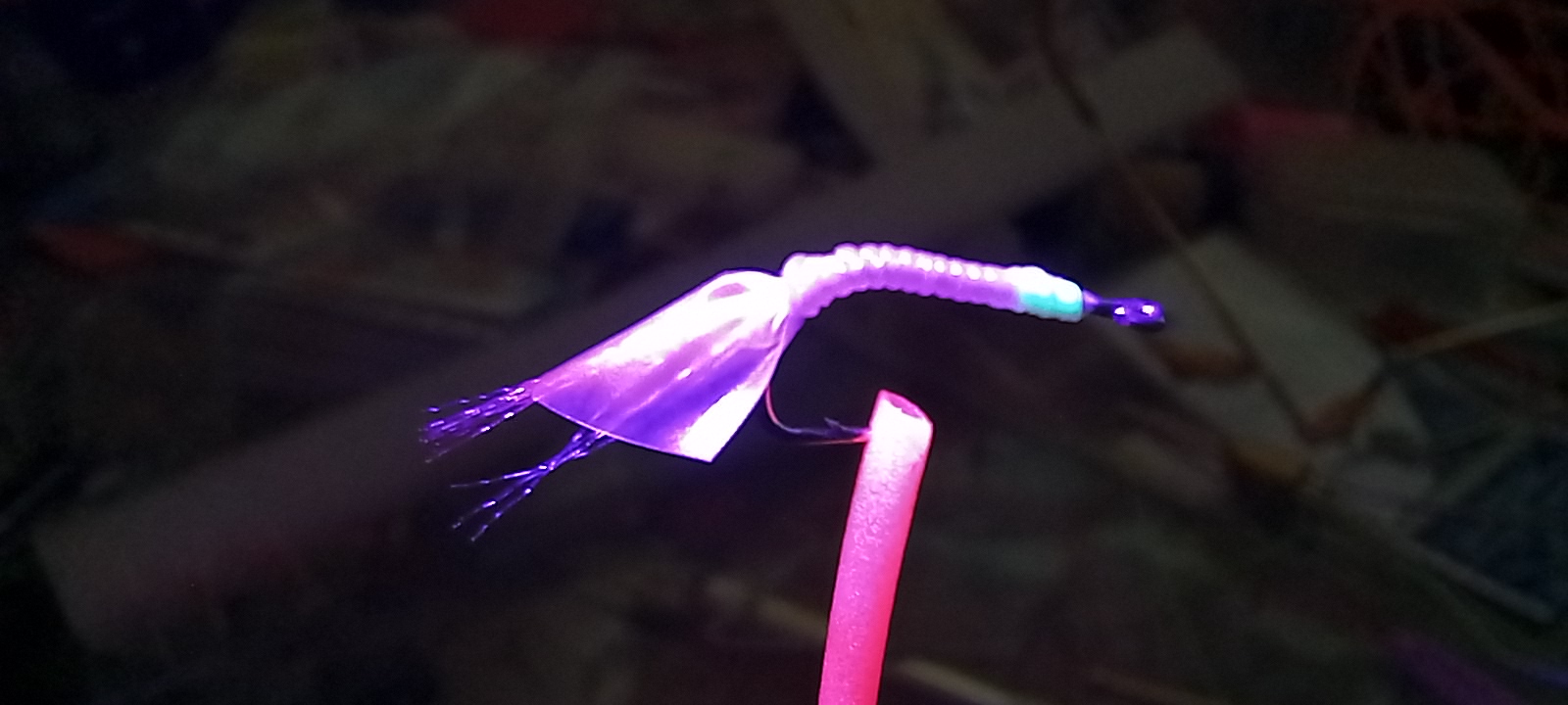 20230103_103657.jpg
