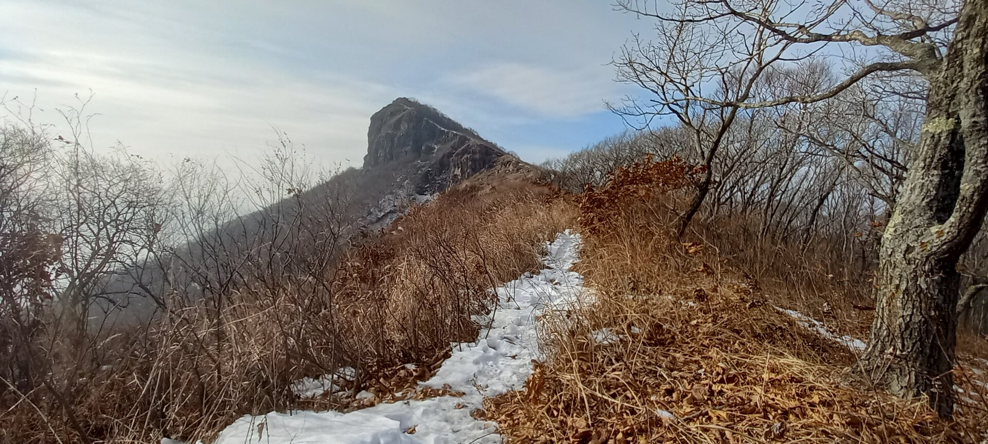 20230108_122857.jpg