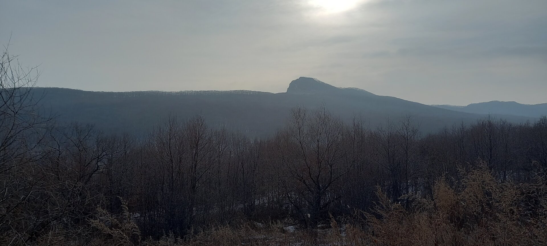 20230108_144345.jpg