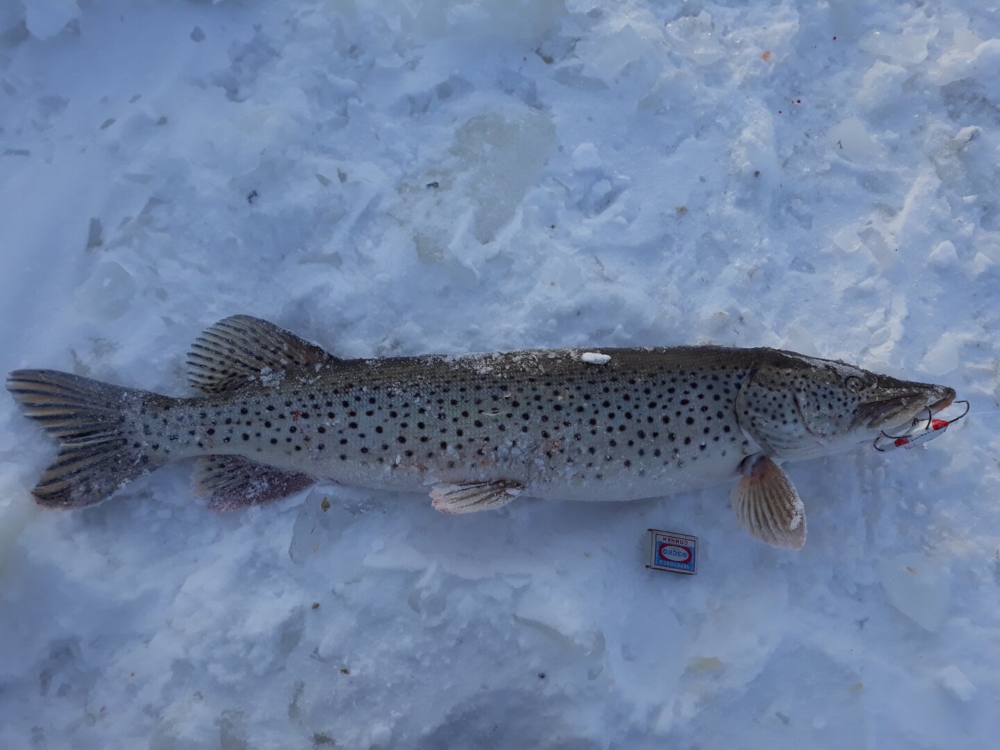 20230114_095141.jpg