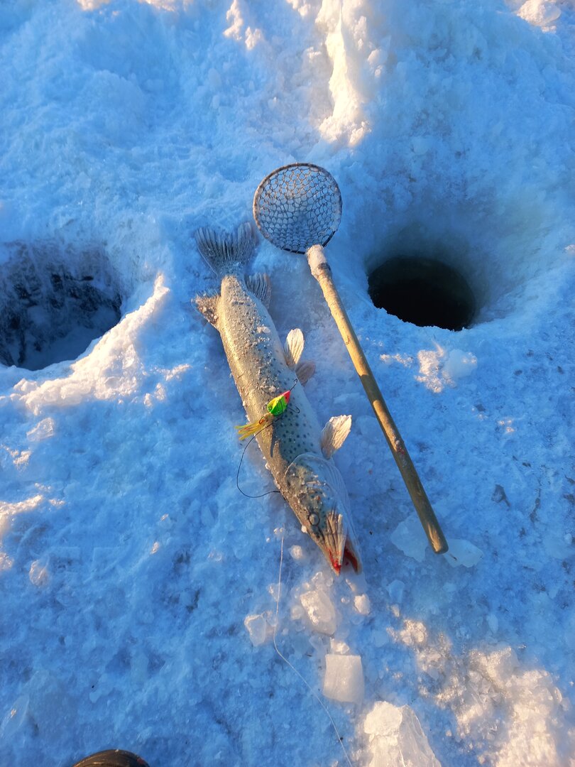 20230122_091823.jpg