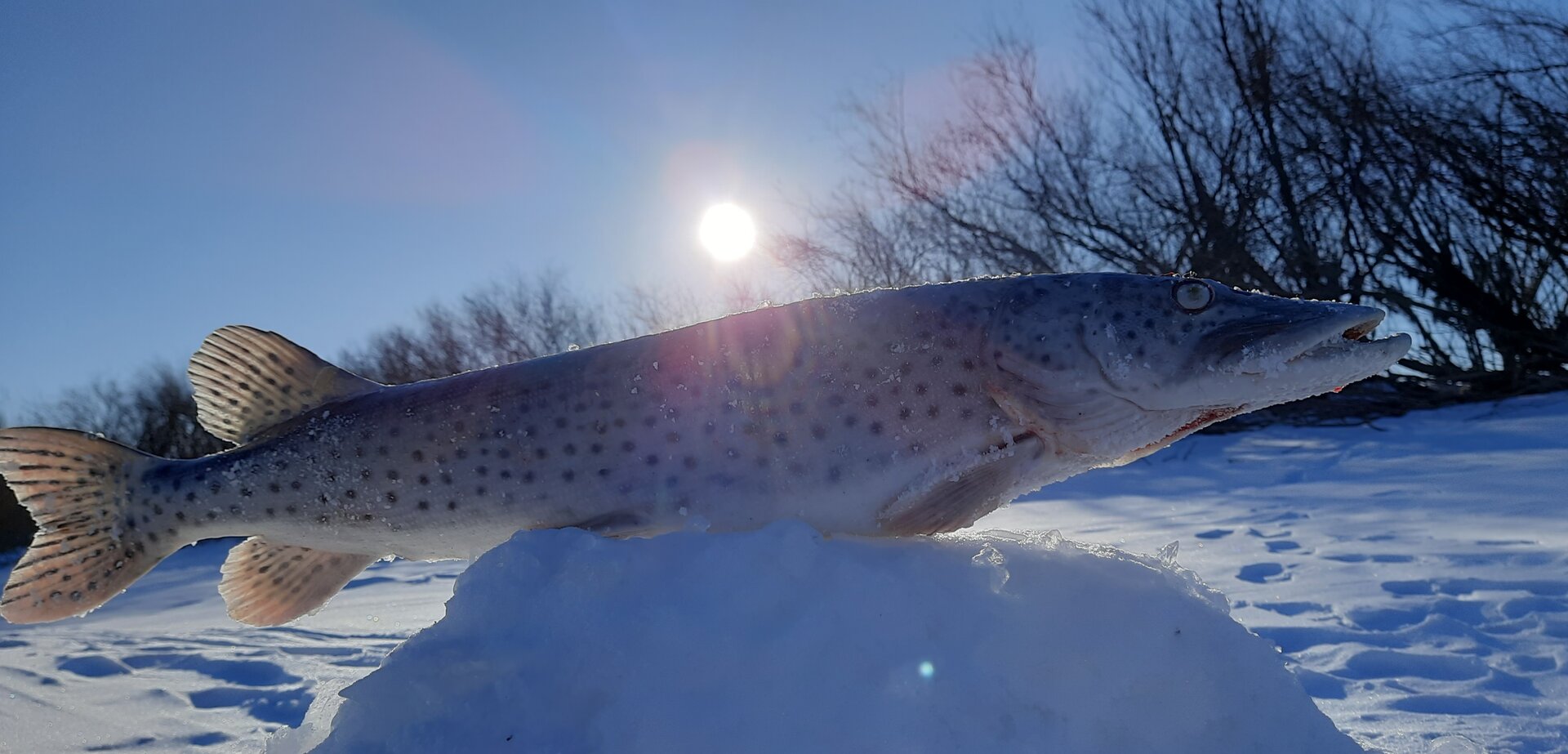 20230129_154415.jpg