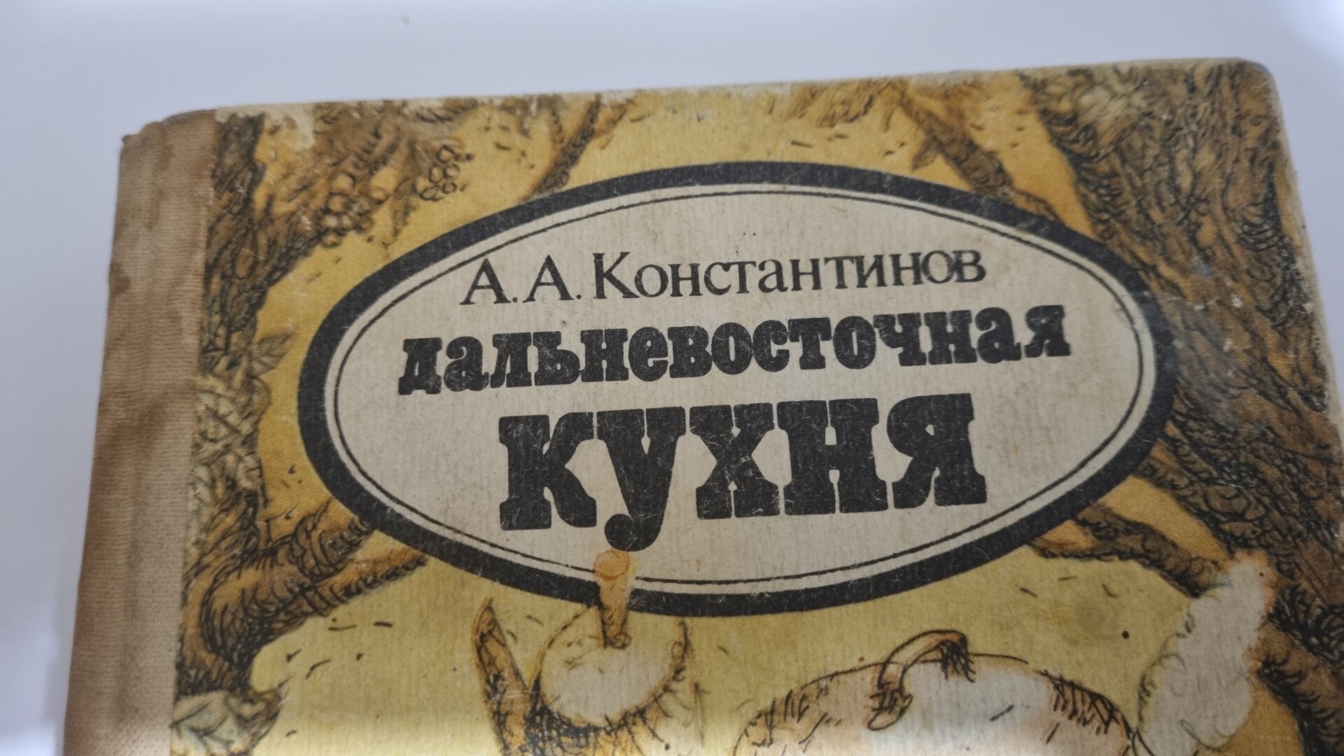 20230129_191107.jpg