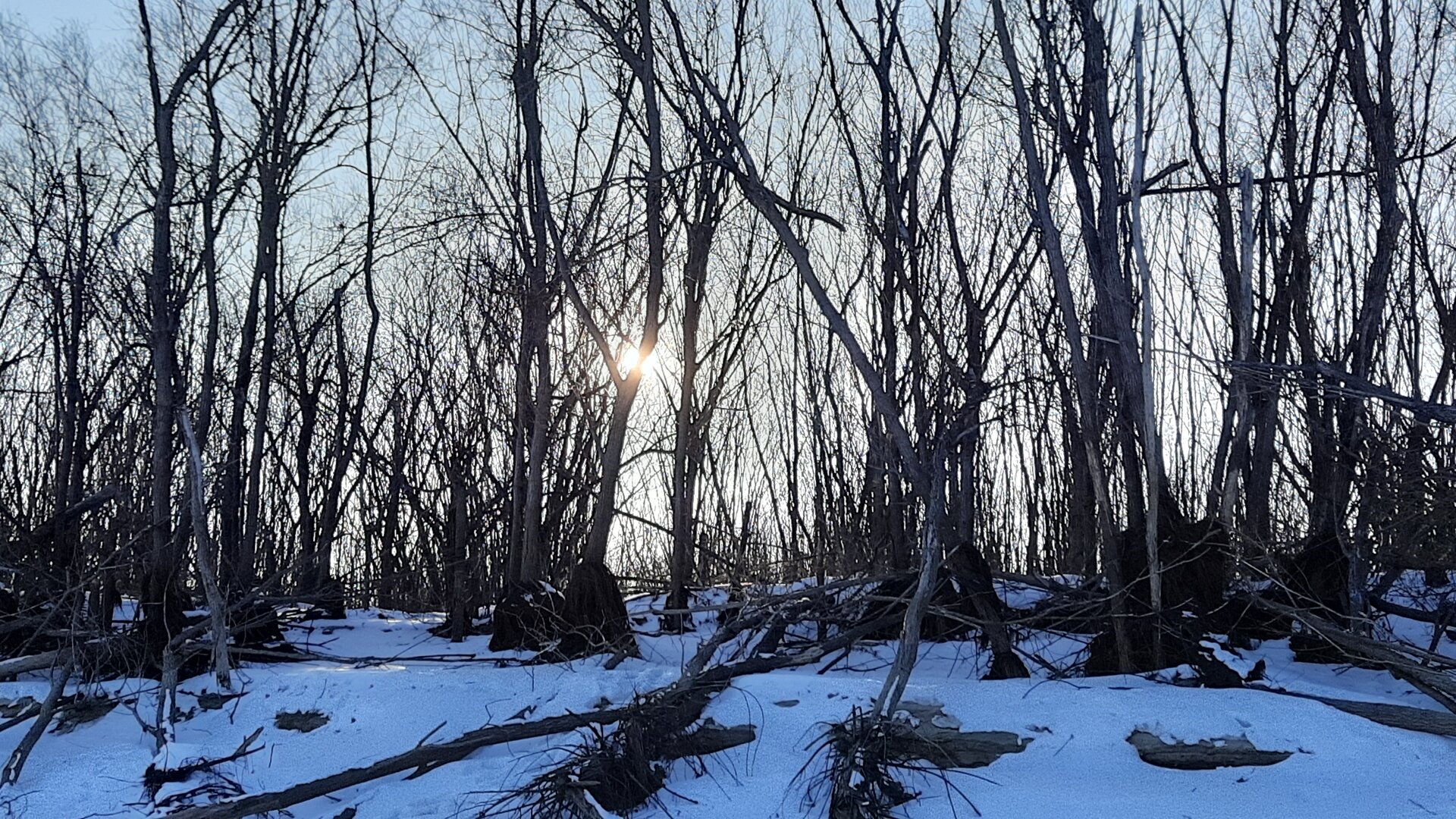 20230205_163011.jpg