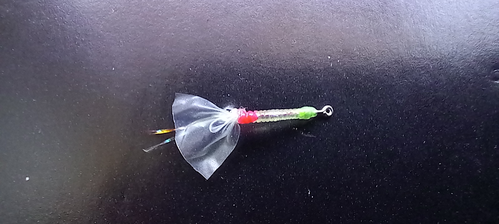 20230208_130320.jpg