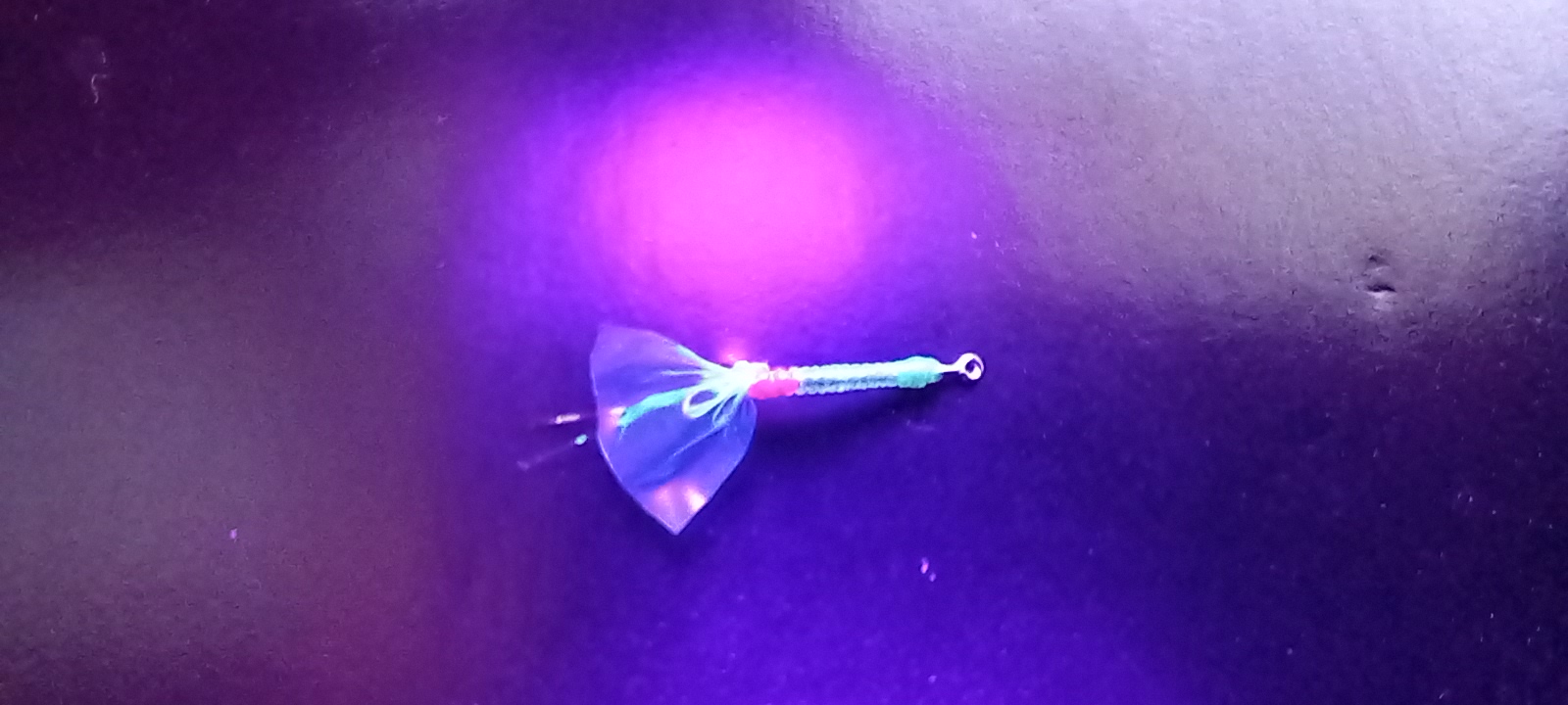 20230208_130420.jpg
