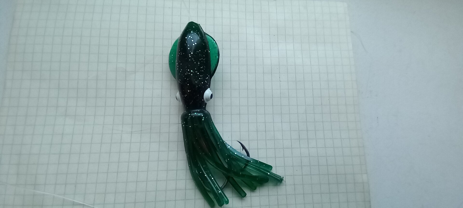 20230226_105349.jpg