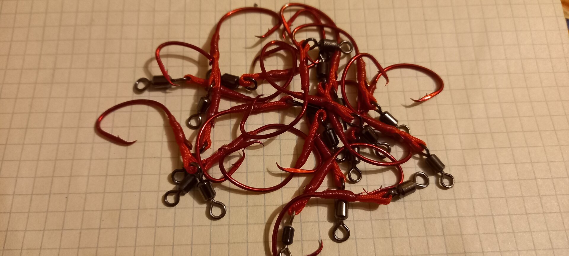 20230227_201009.jpg