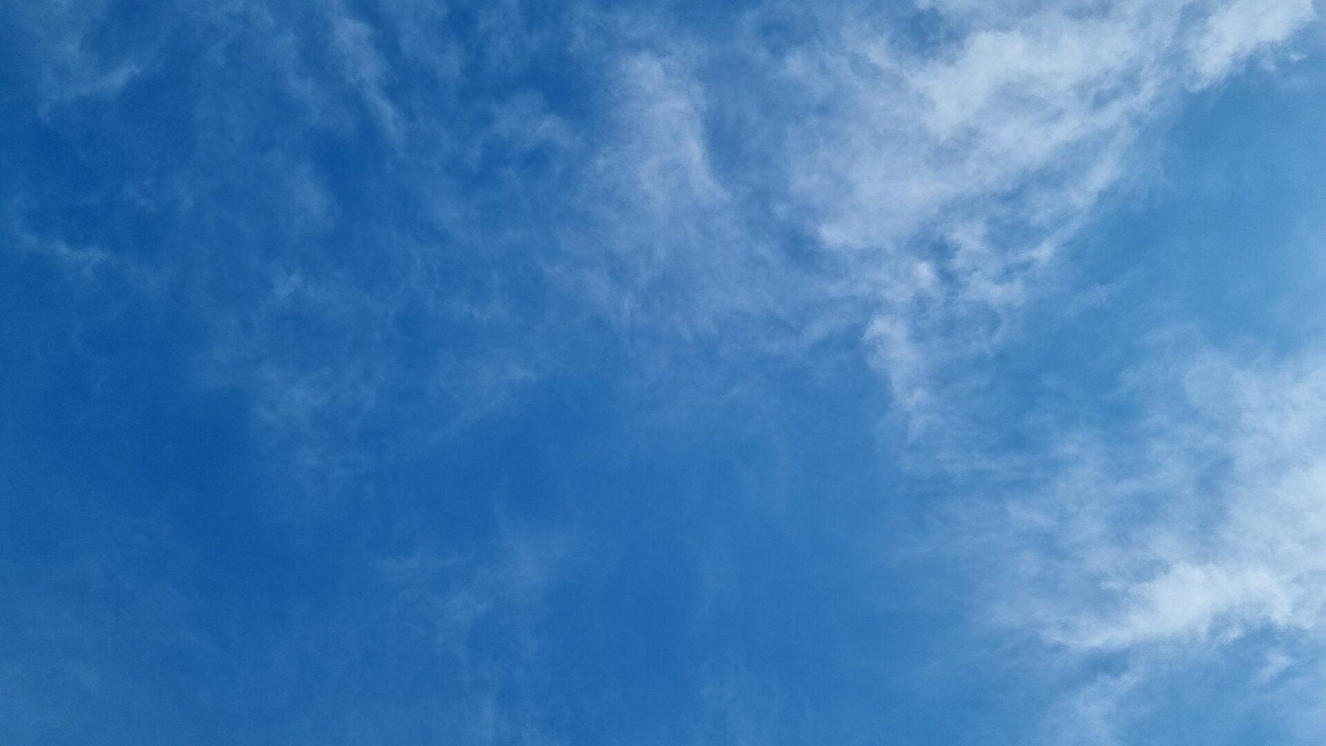 20230304_145351.jpg