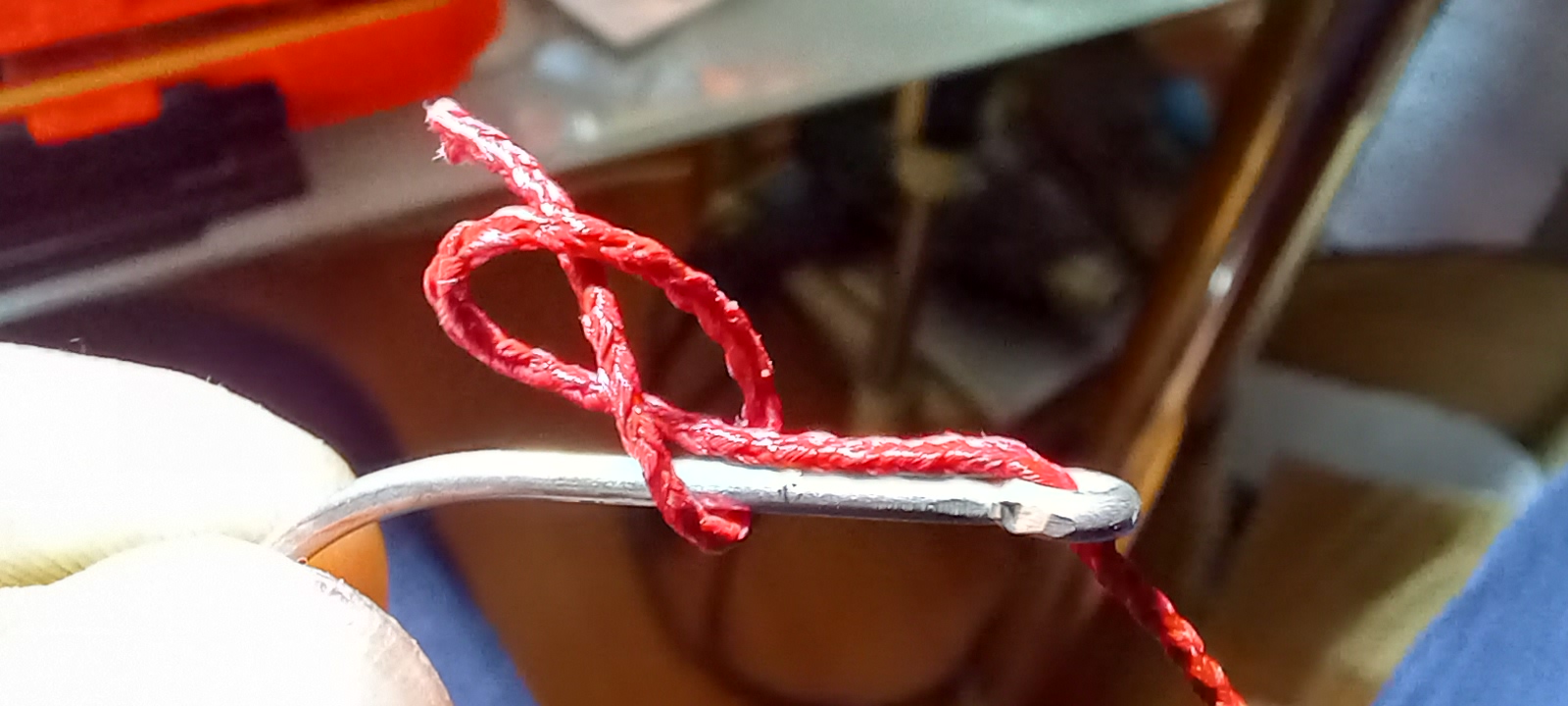 20230310_081509.jpg