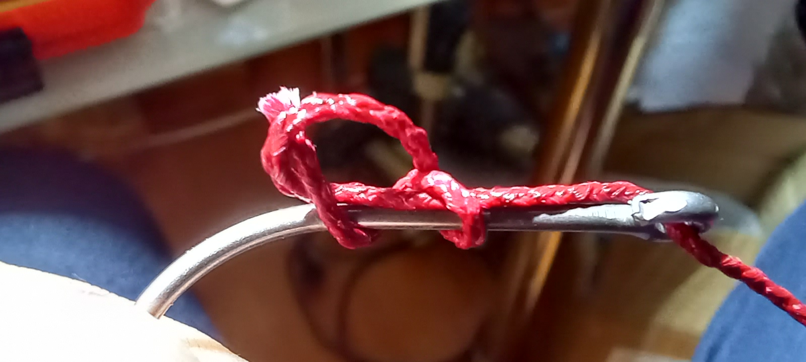 20230310_081530.jpg