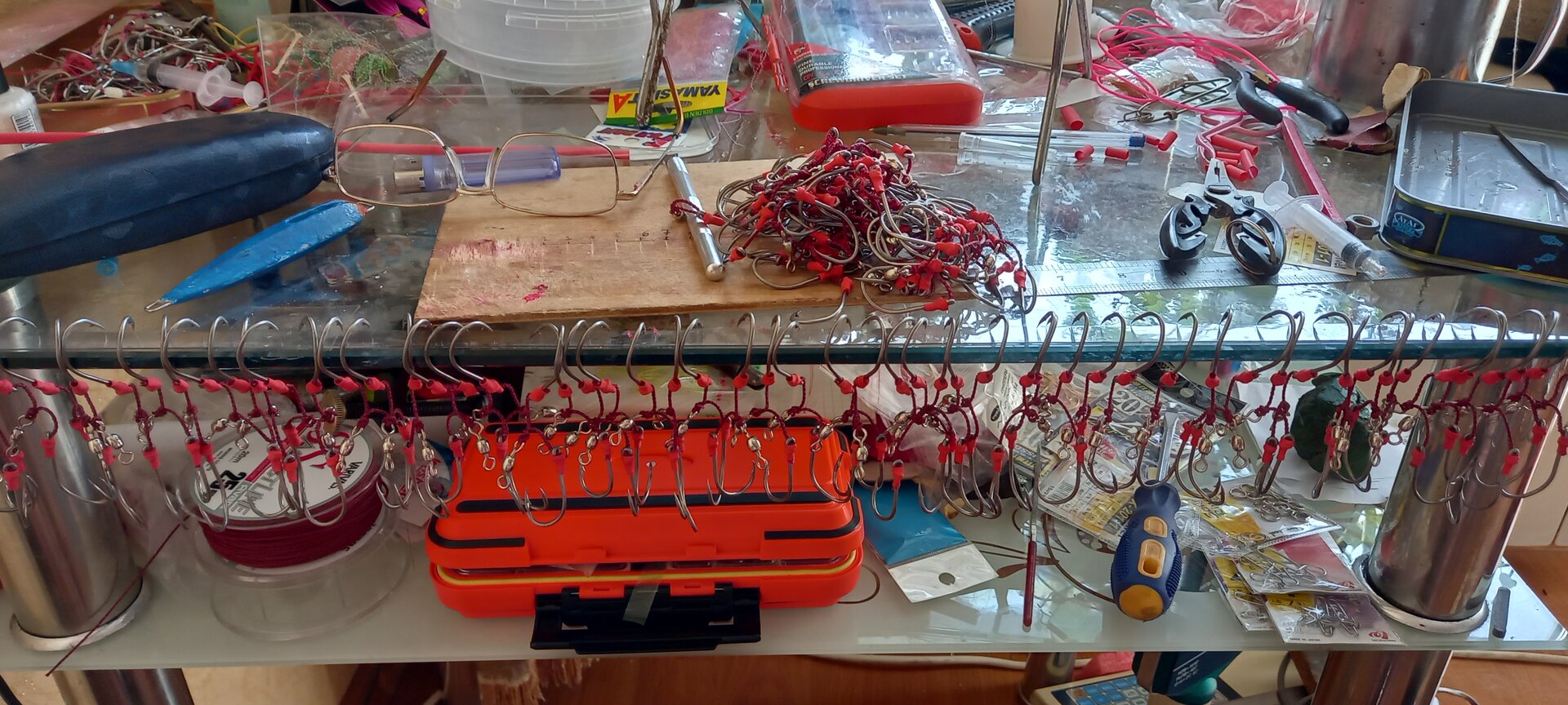 20230310_153047.jpg
