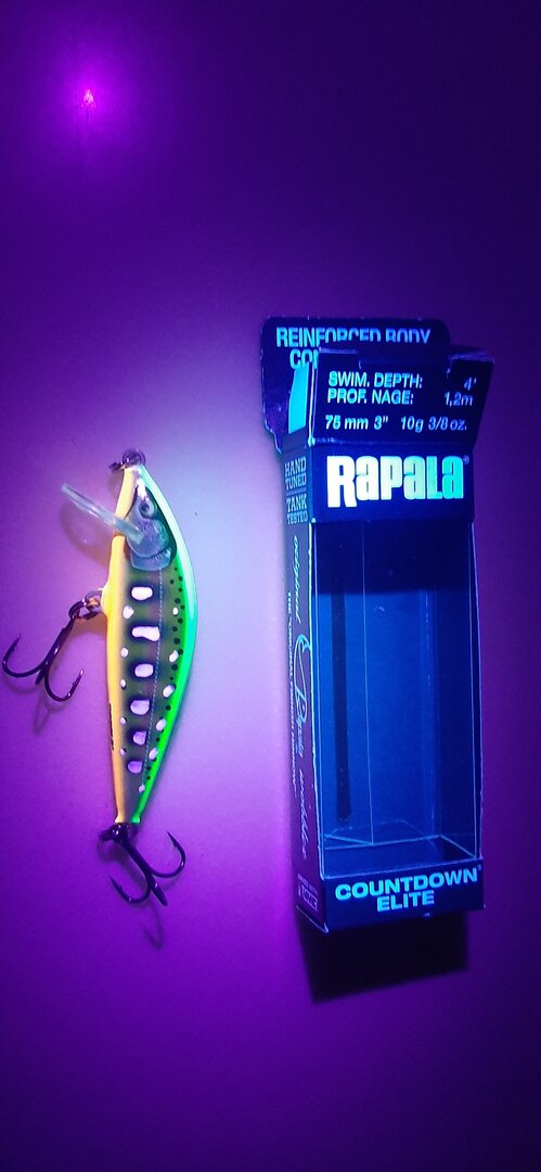 20230311_172654.jpg