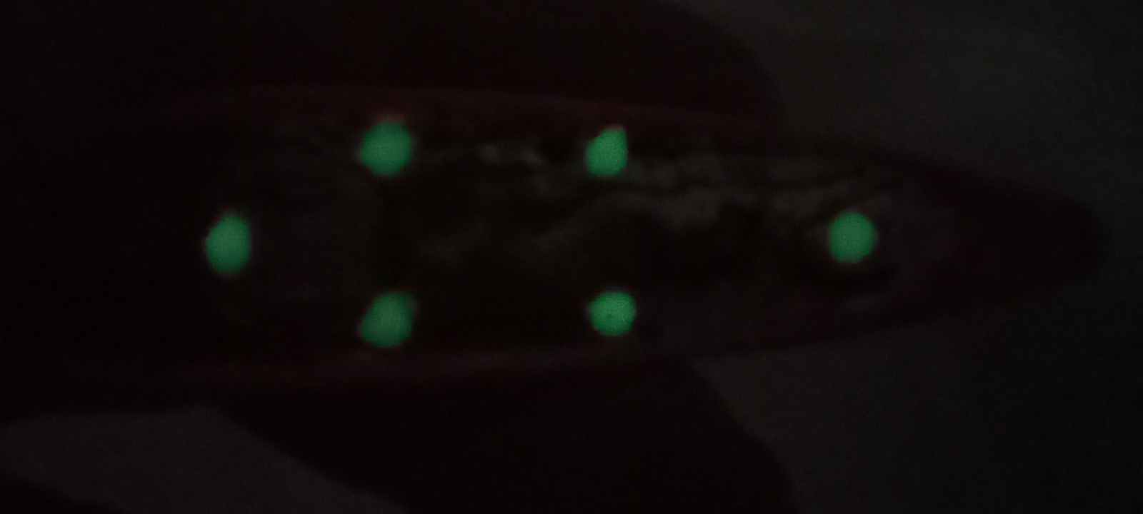 20230318_111113.jpg