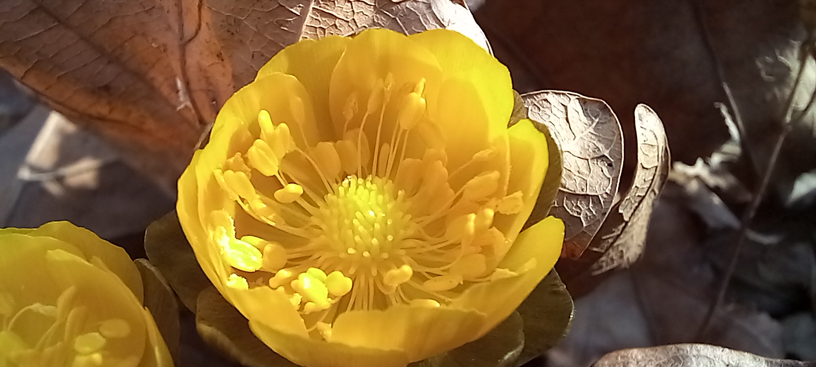 20230327_153013.jpg