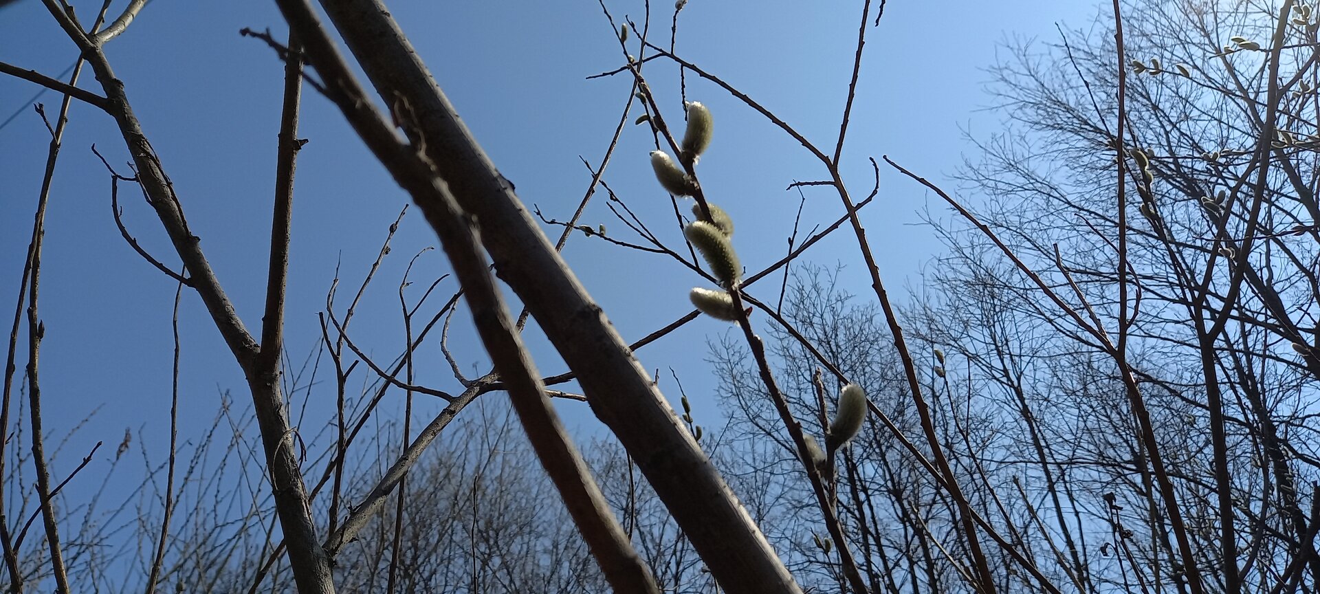 20230329_125423.jpg