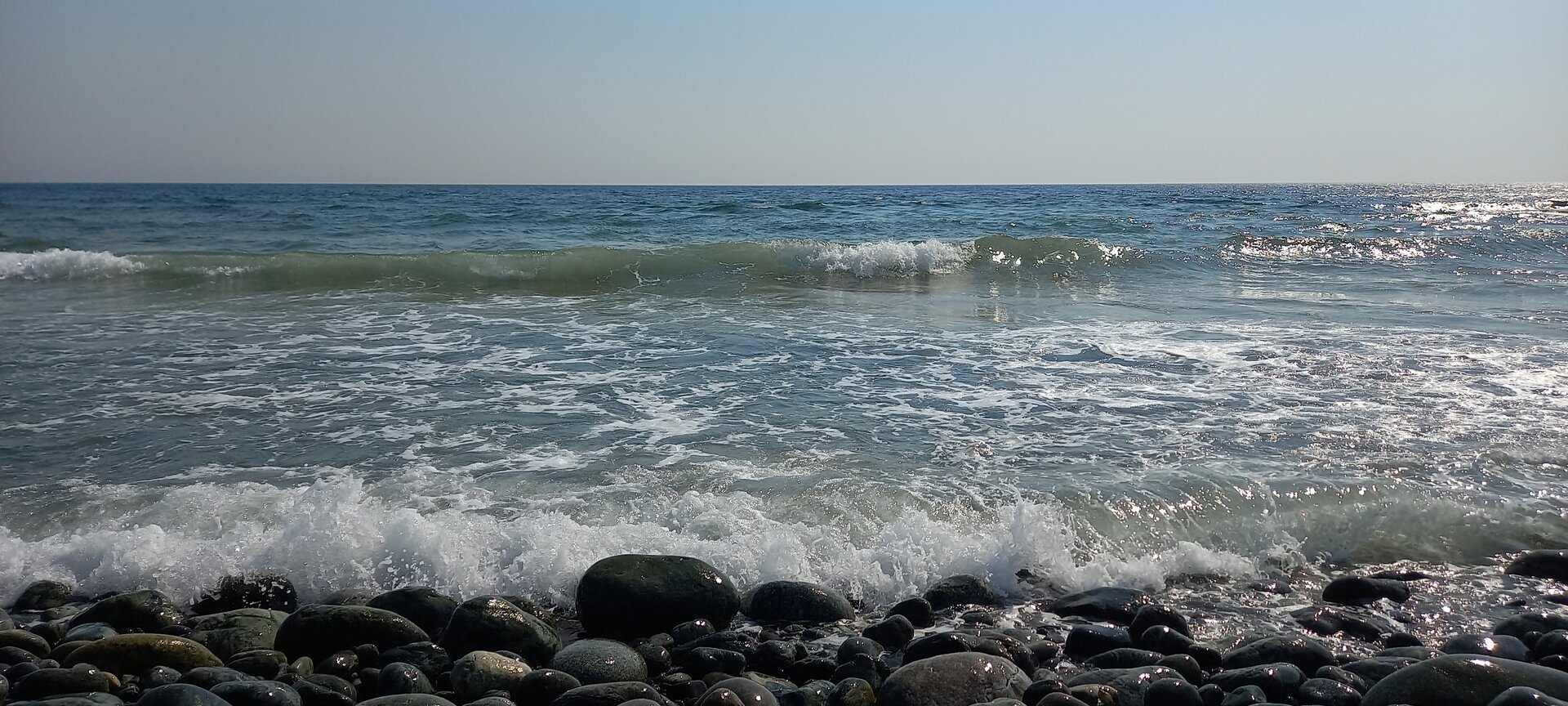 20230331_150903.jpg