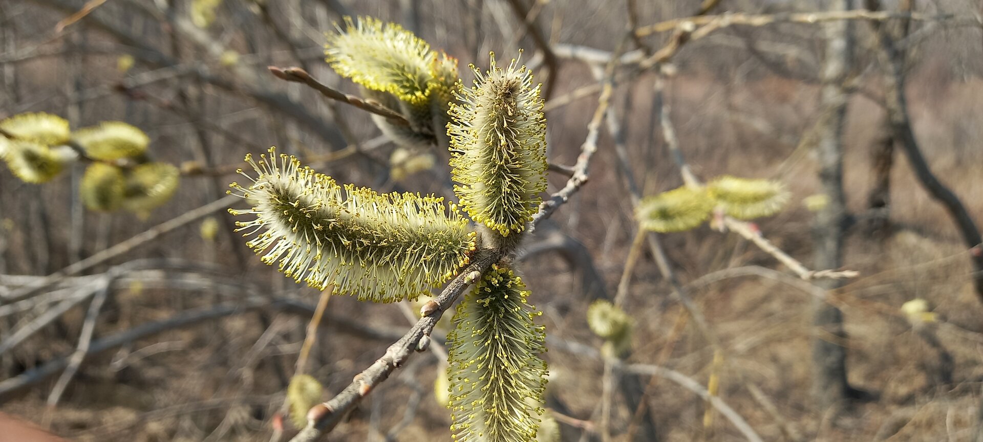 20230331_151946.jpg
