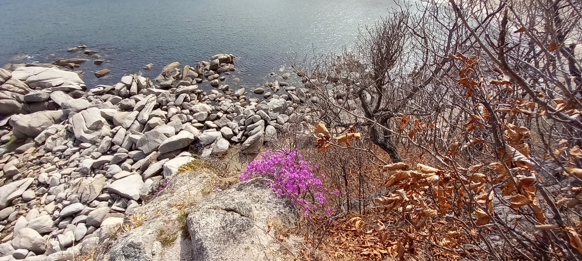 20230412_150200.jpg