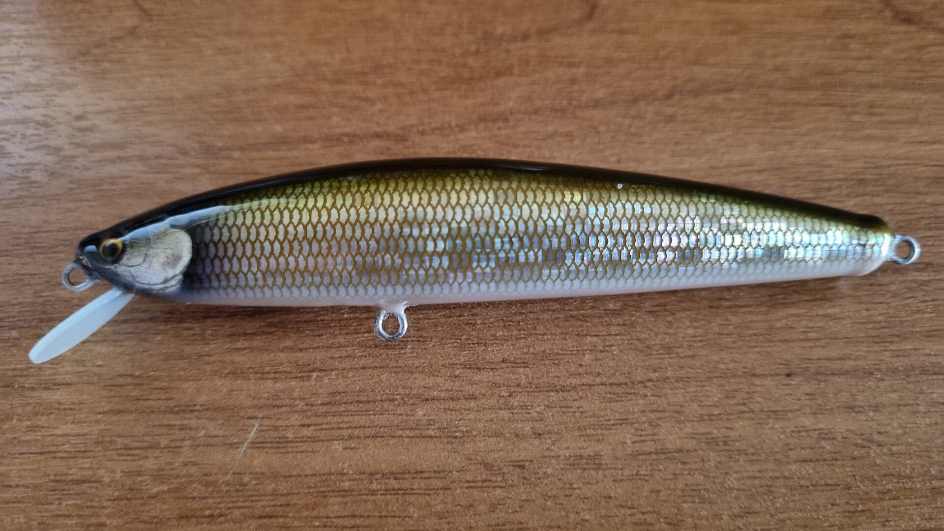 20230419_122310.jpg