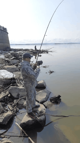 20230423_131842.gif