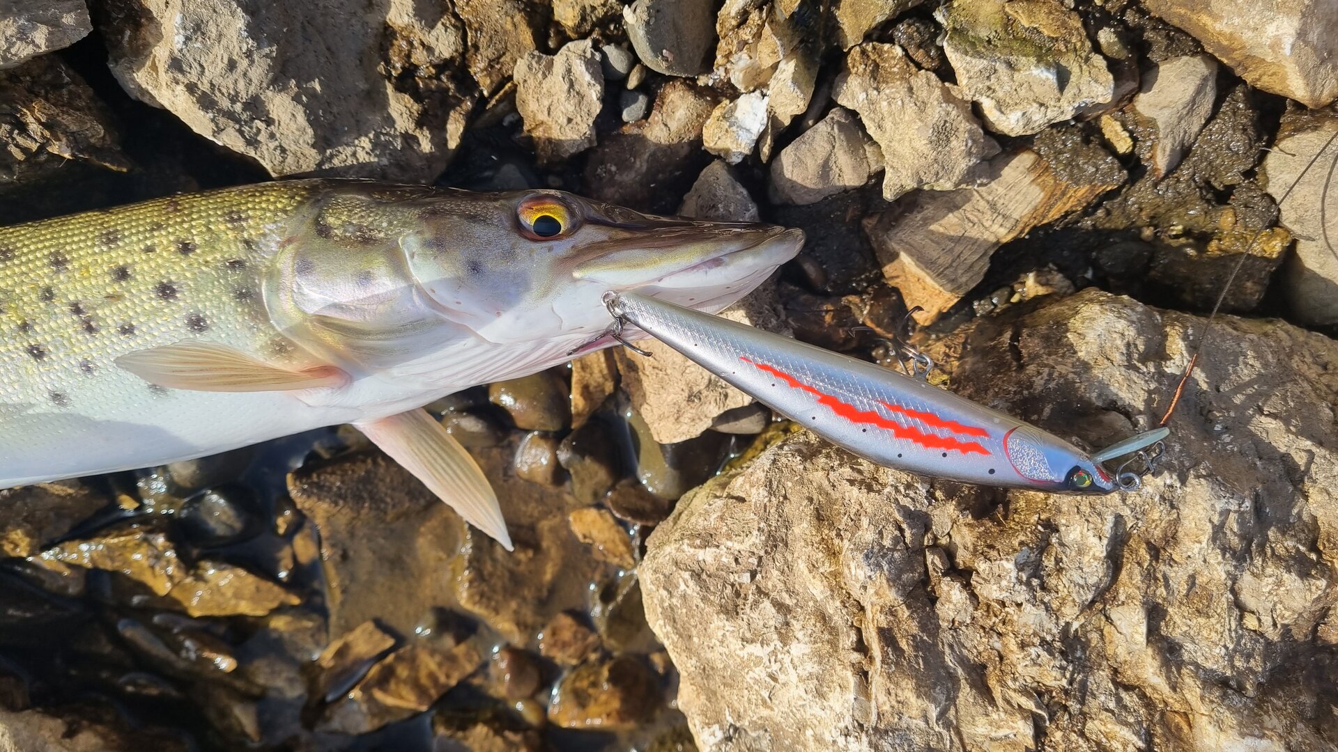 20230429_165306.jpg
