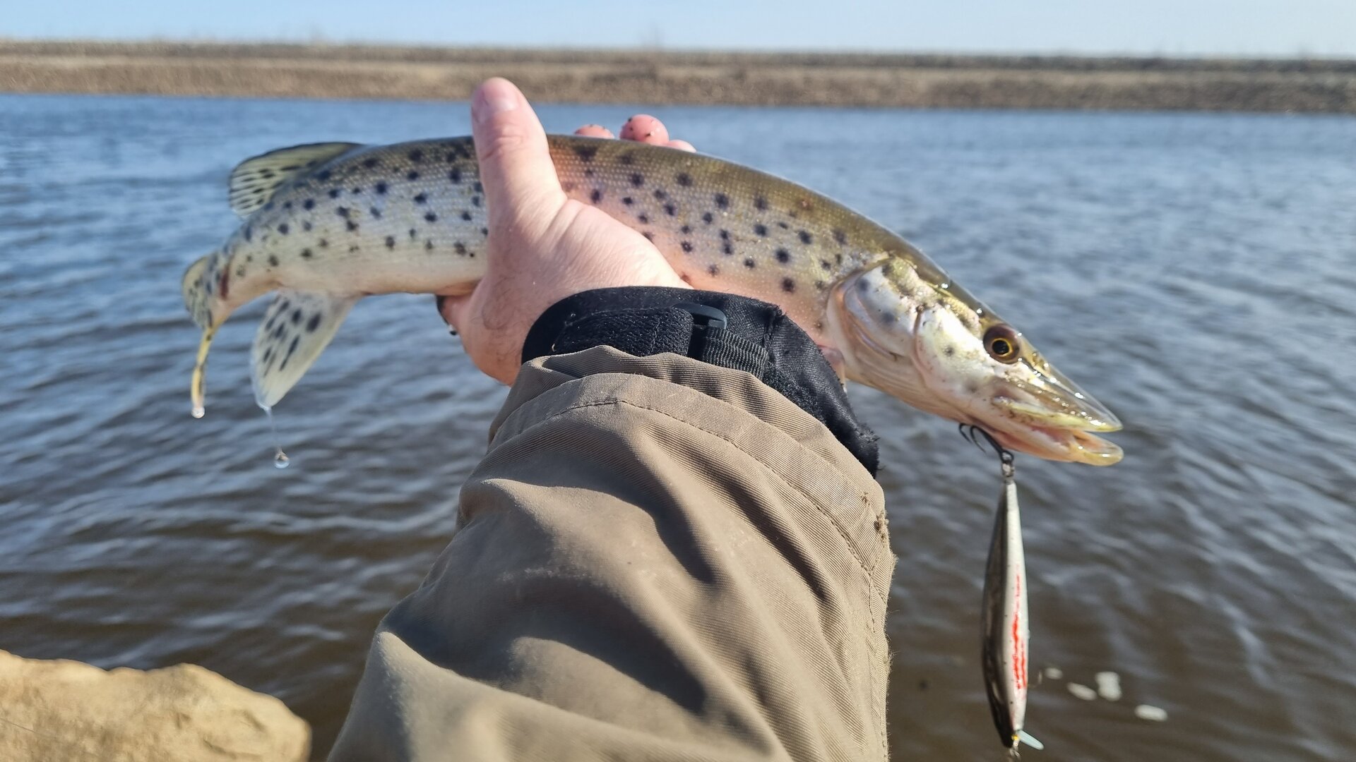 20230429_165412.jpg