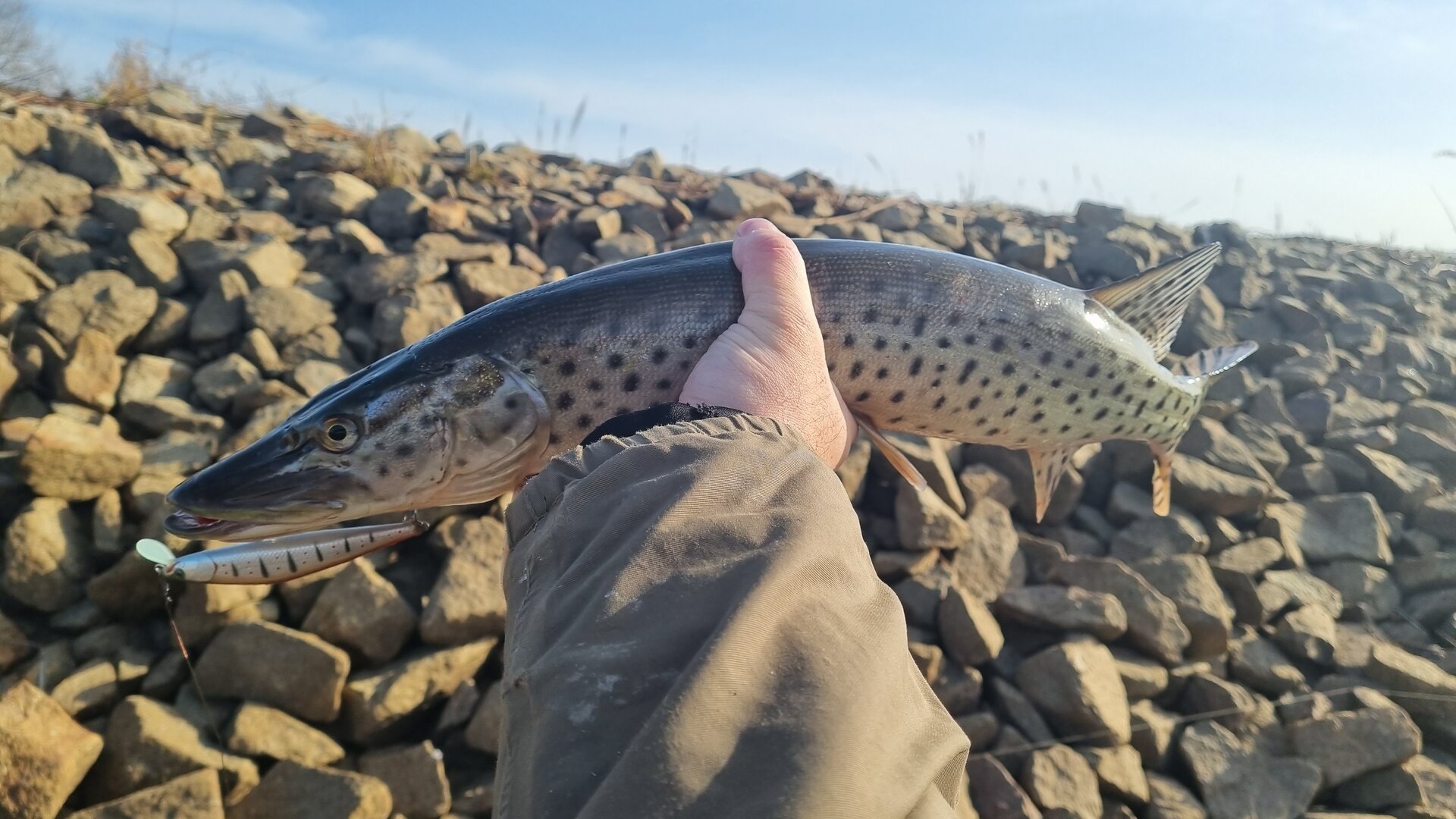 20230429_173141.jpg