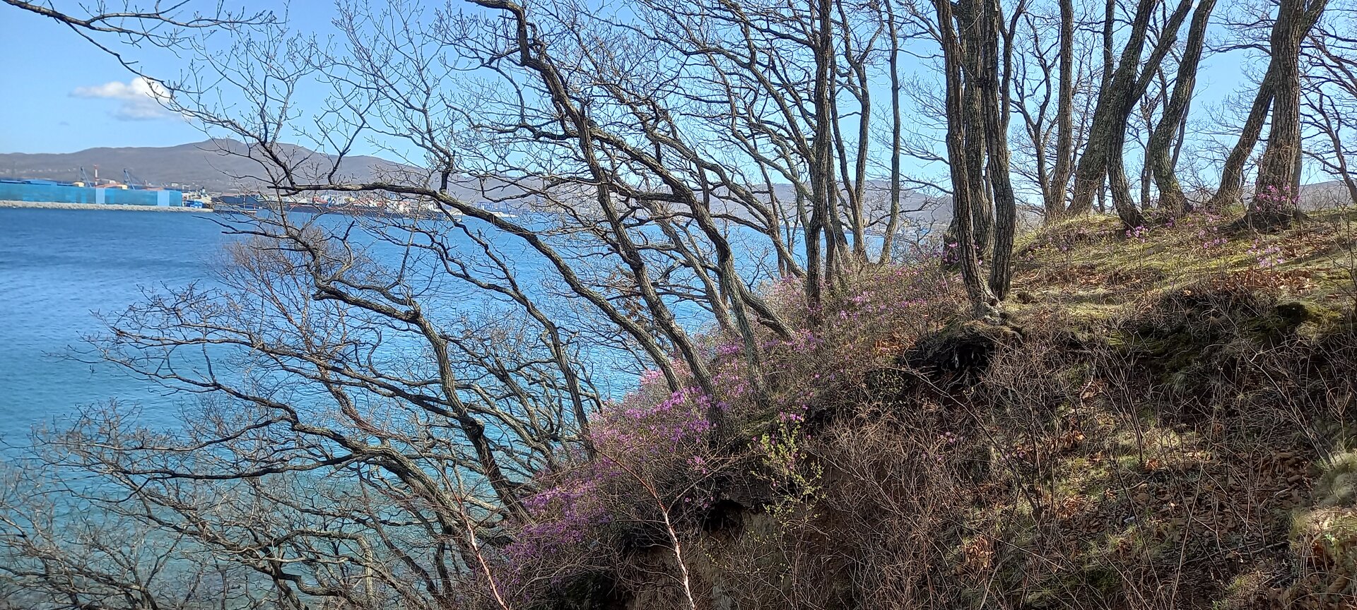 20230430_155204.jpg