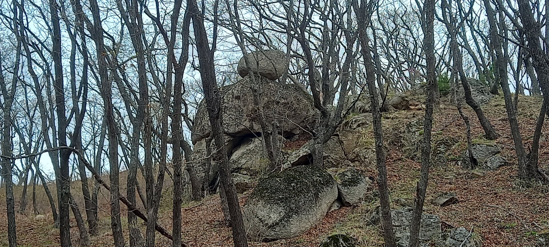 20230501_104155.jpg