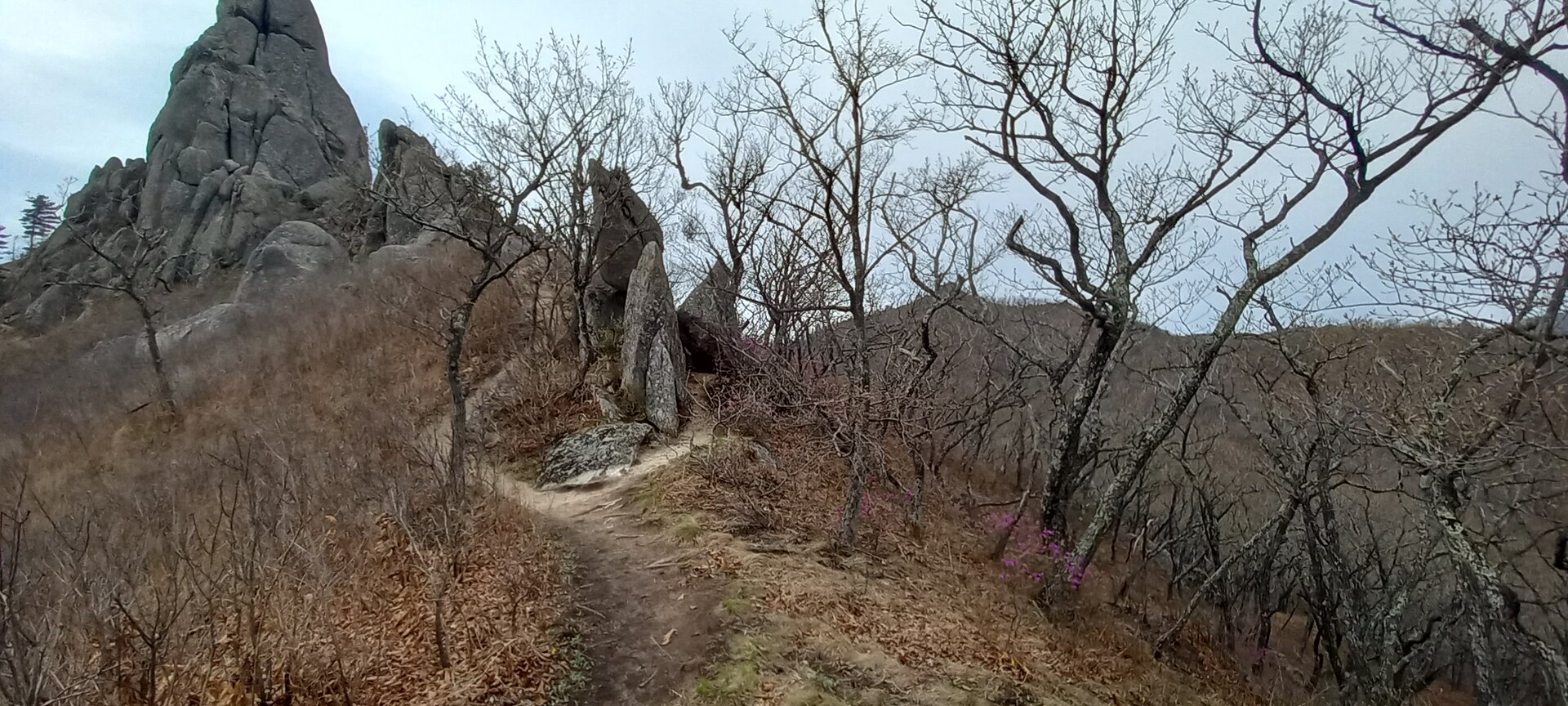 20230501_110024.jpg