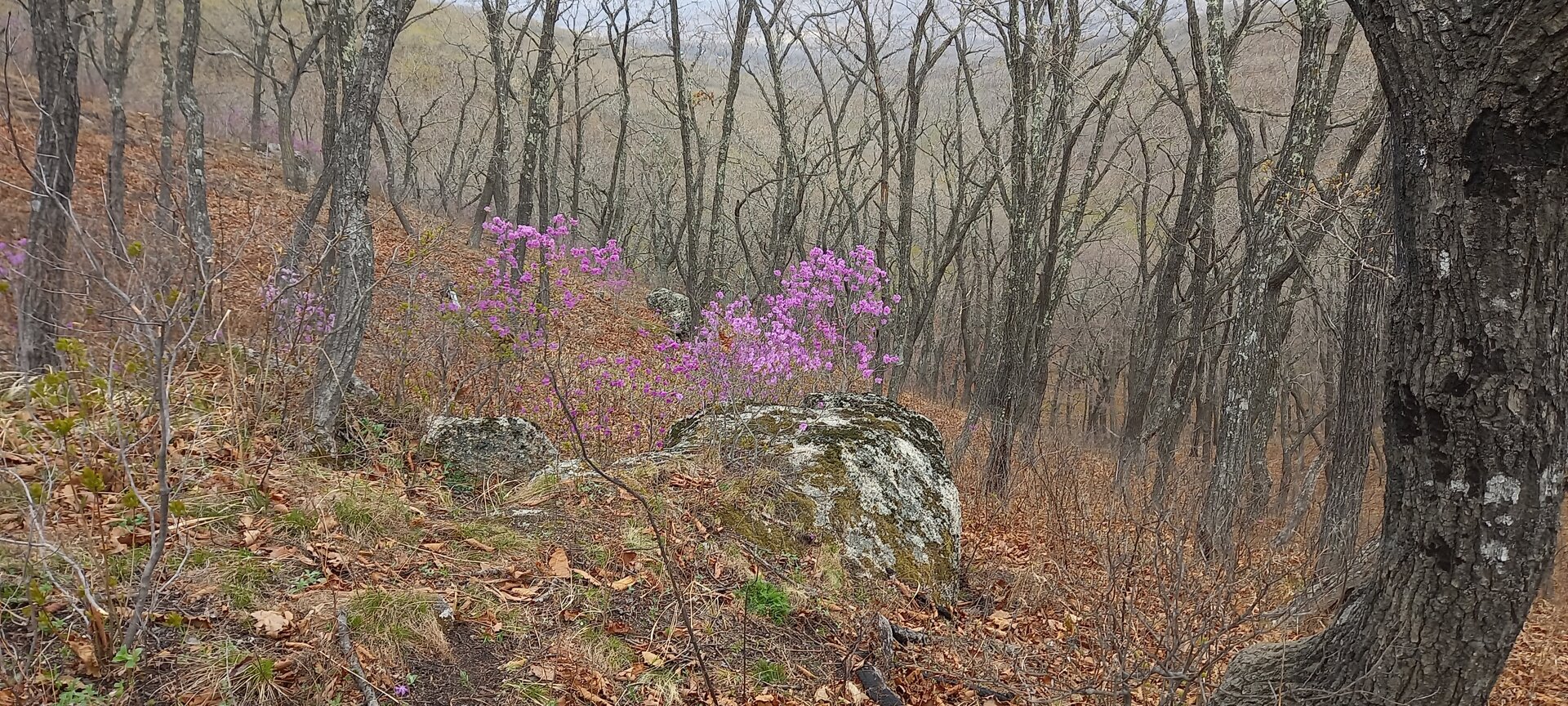 20230501_112859.jpg