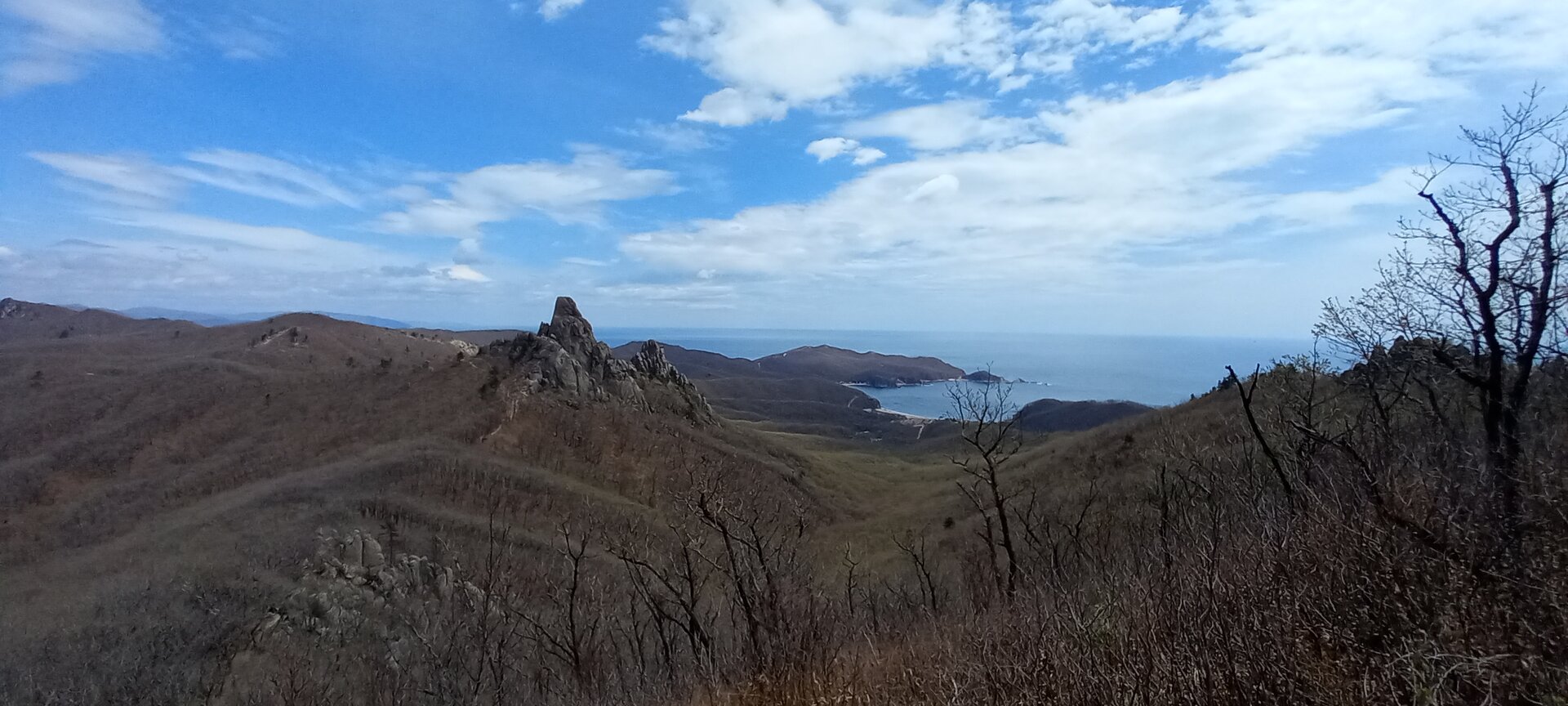 20230501_130717.jpg