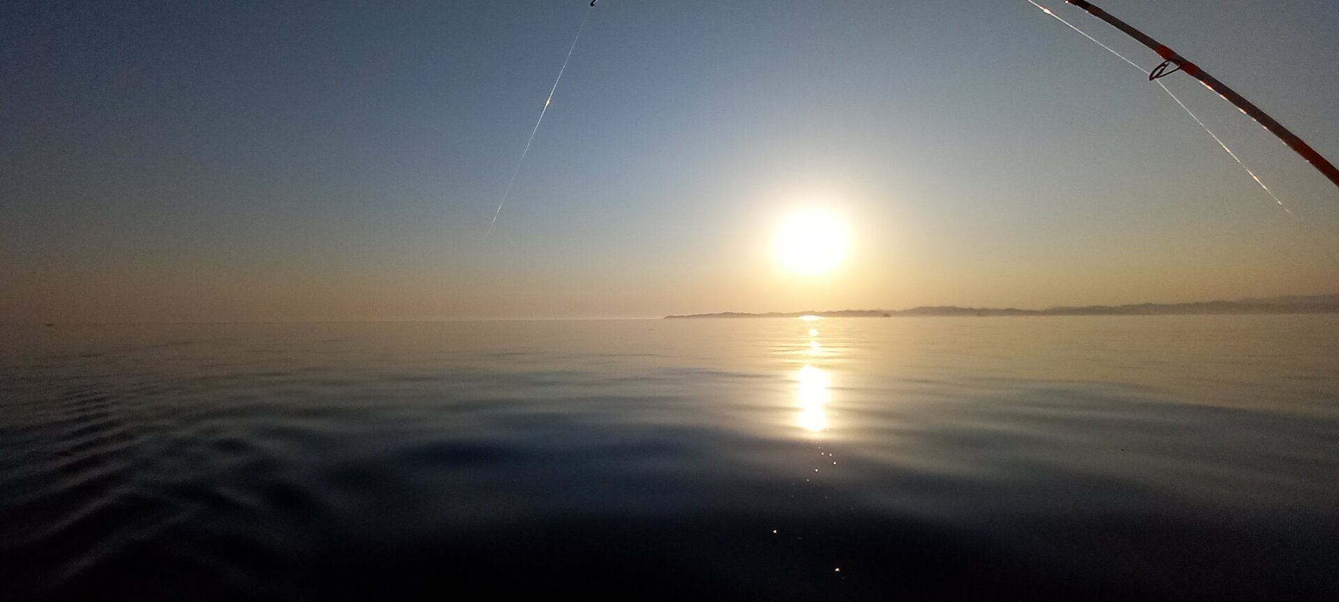 20230511_192720.jpg