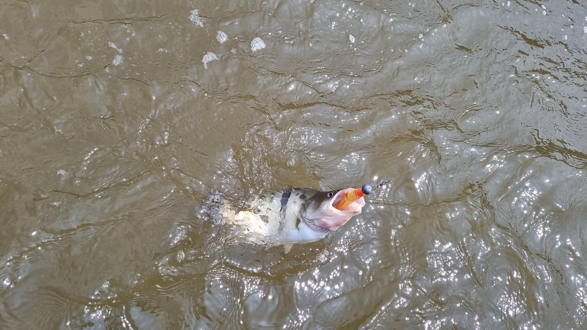 20230514_133133.jpg