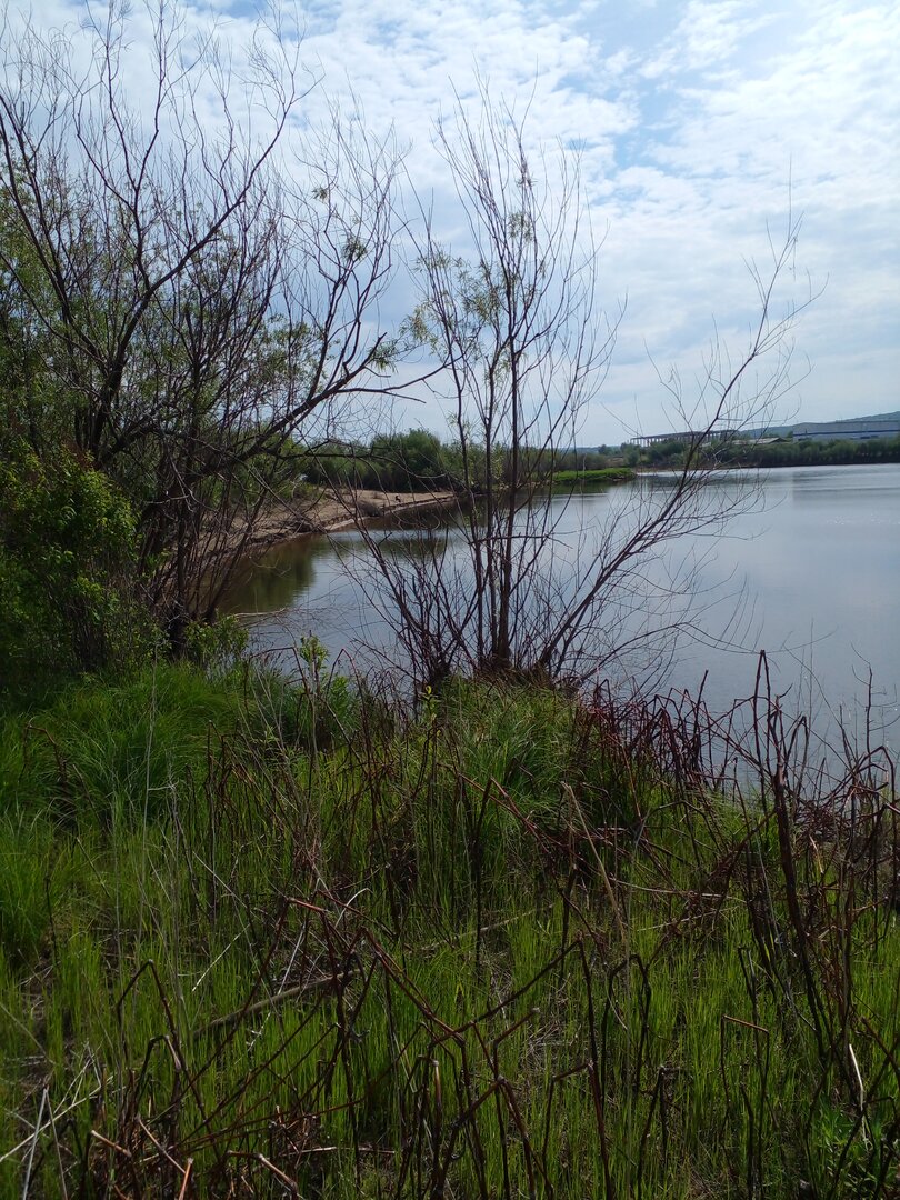 20230607_100726.jpg
