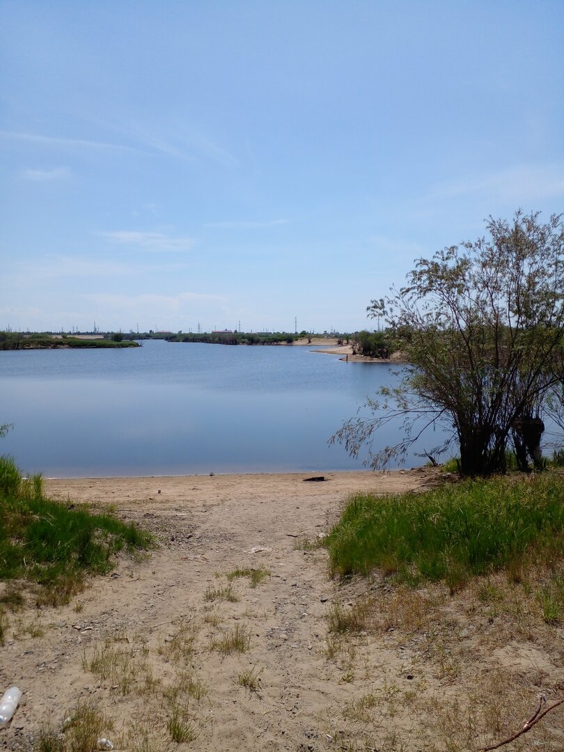 20230607_124423.jpg