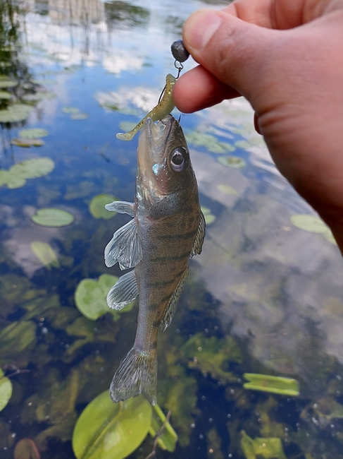 20230610_143513.jpg