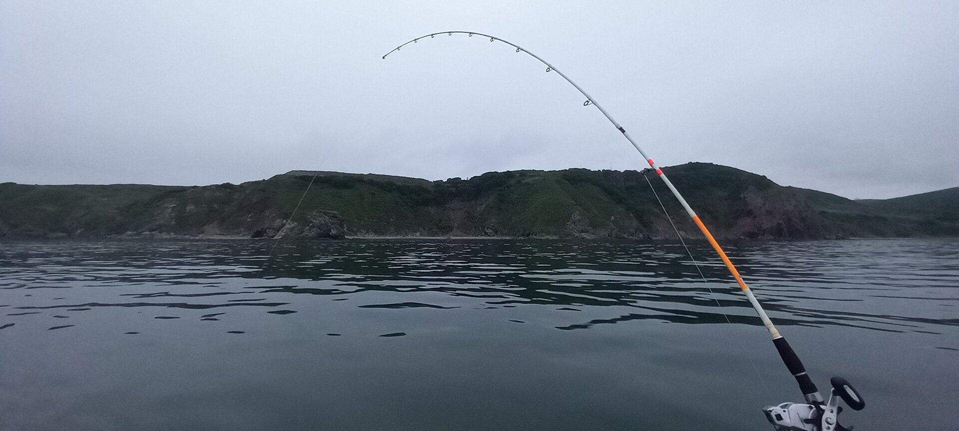 20230614_054003.jpg